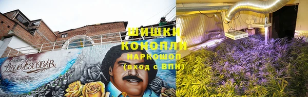молекула духа Белоозёрский