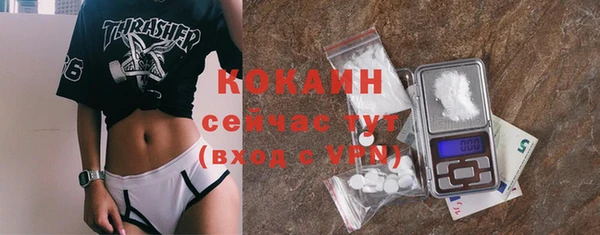 молекула духа Белоозёрский